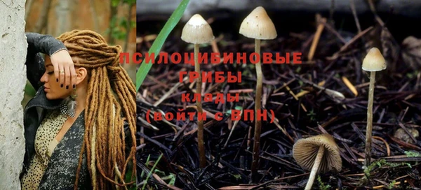 герыч Инсар