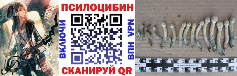 Купить  Заозёрск  Псилоцибиновые грибы мухоморы 